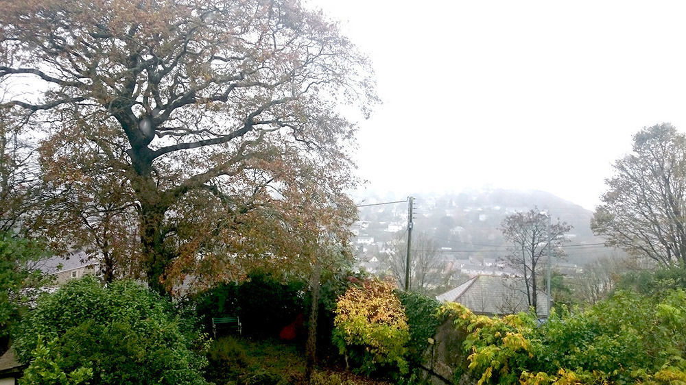 Bankside Bed & Breakfast St Austell Dış mekan fotoğraf